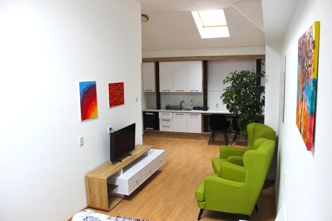 Krasny Priestranny Slnecny Apartman V Centre Mesta Trencin Exterior photo